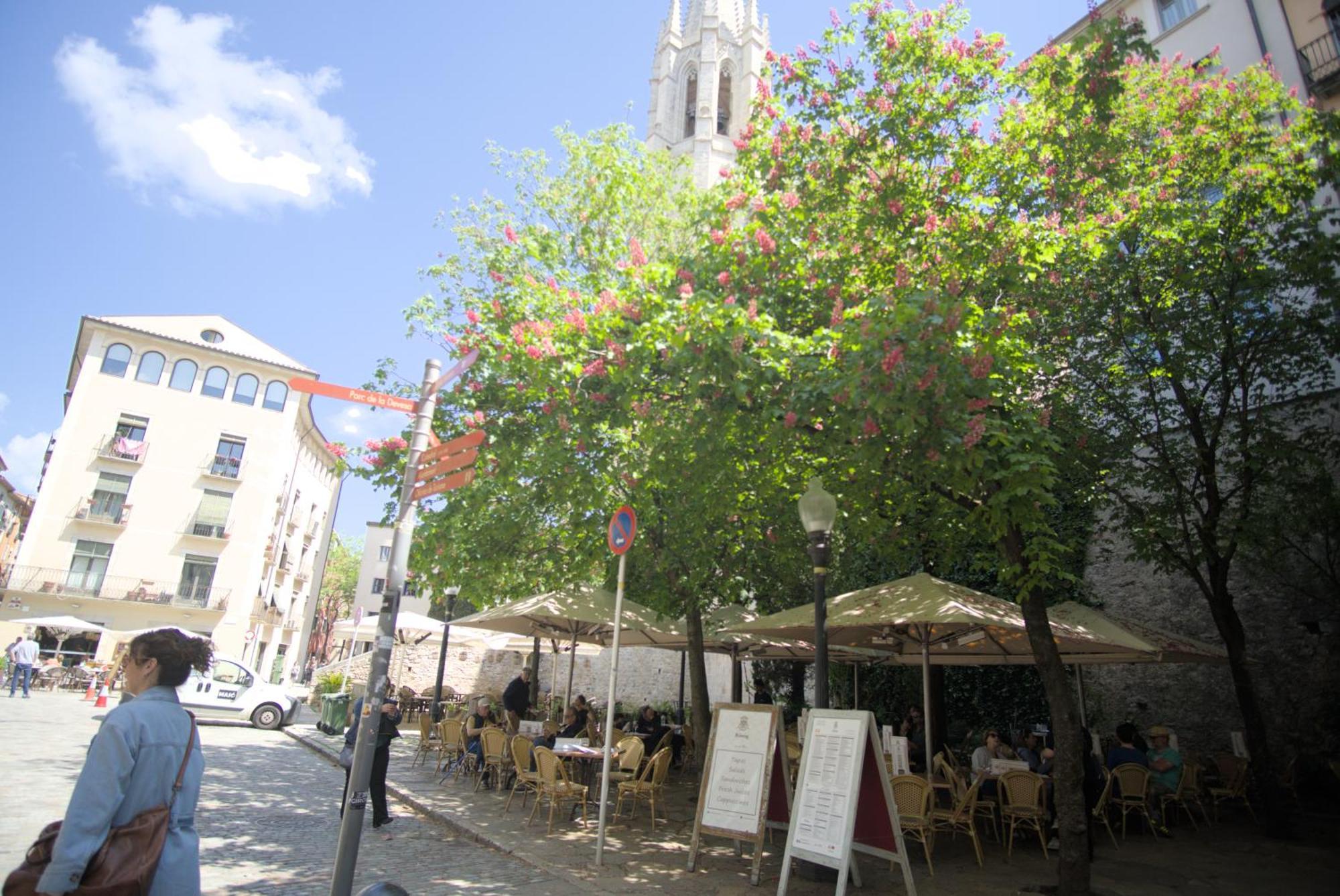 La Lleona Apartamento *
