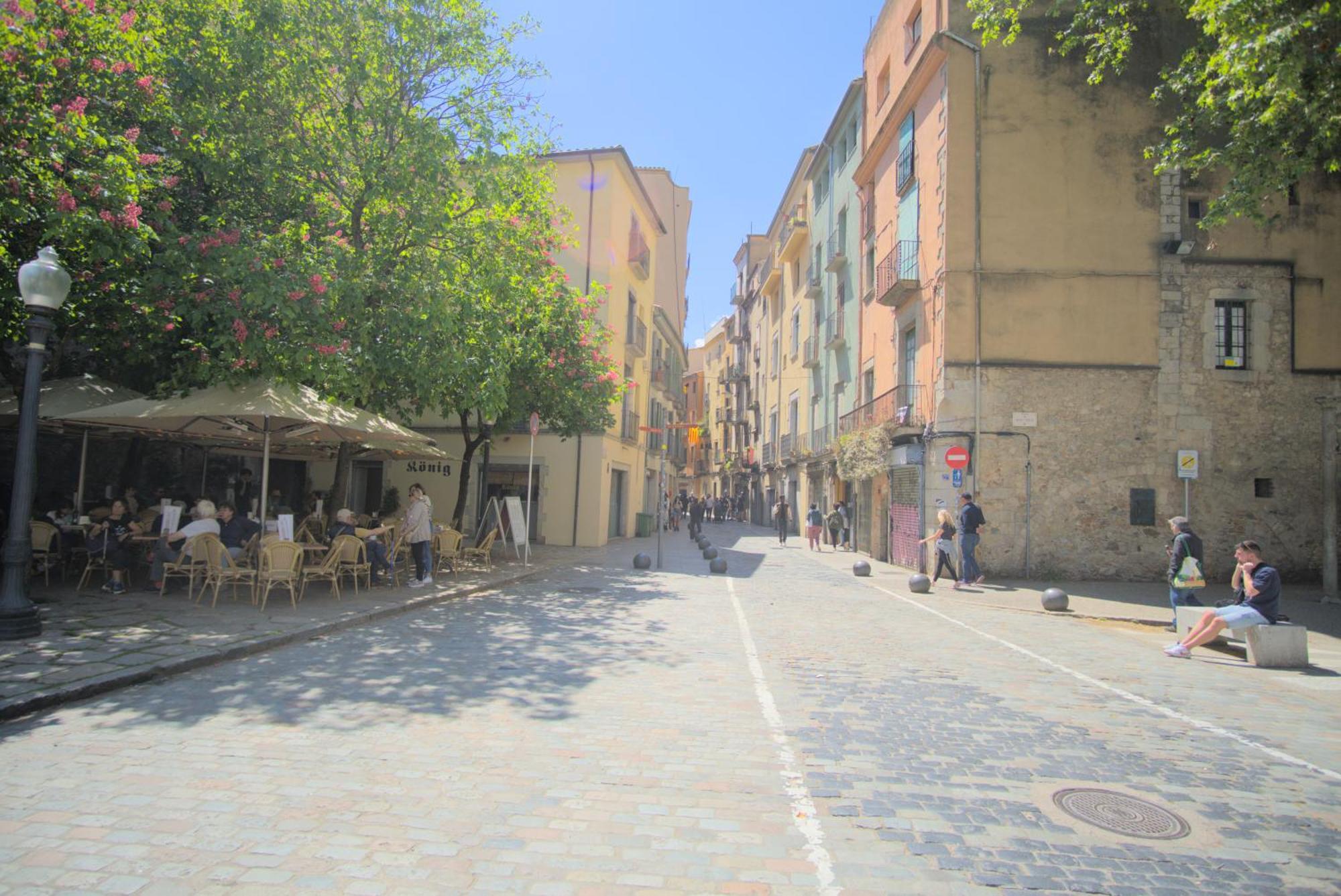 La Lleona